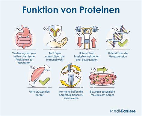 Schokolade gegen Viren: Funktion im Organismus und Grenzen (Infografik)