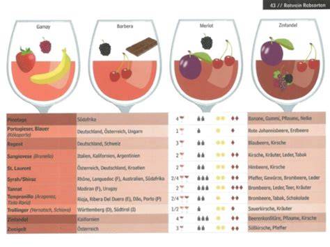 Schokoladen-Tasting mit Beschreibung der Aromen und der Textur