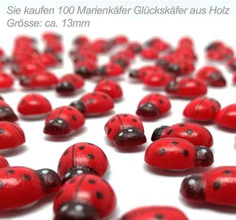 Schokoladengeschenk Idee mit Marienkäfer Dekoration