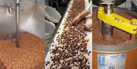 Schokoladentrüffel-Produktion mit Piemont-Haselnüssen