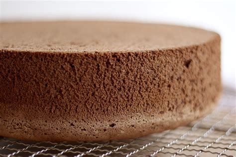 Schritt-für-Schritt: Schokobiskuit Boden für Torte in einer Springform
