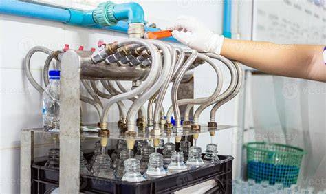 Schritt-für-Schritt-Fotos: Filtern durch Tuch, Abfüllen in sterile Flaschen