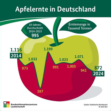 Schritt-für-Schritt-Infografik: Von den Äpfeln bis zum goldgelben Hefekuchen