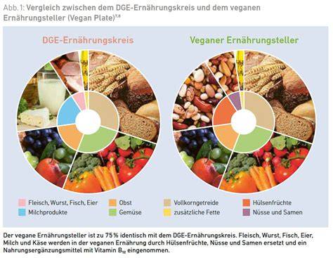 Schritt-für-Schritt-Infografik: vegane Zutaten und Aufbau eines Apfel-Pudding-Streuselkuchens
