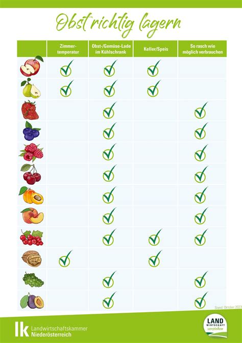 Schritt-für-Schritt-Schema: Obst einkochen und richtig lagern ohne Zuckerzusatz