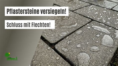 Schrittfolge als Bildstrecke: Muster - Hülle - Füllung - Versiegeln - Abkühlen - Portionieren