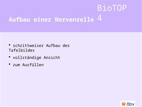Schrittweiser Aufbau: Biskuit schneiden, cremen, Rocher‑Halbtupfen setzen