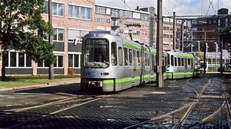 Schwangere beim Genuss von Trüffel - Sicherheit und Genuss