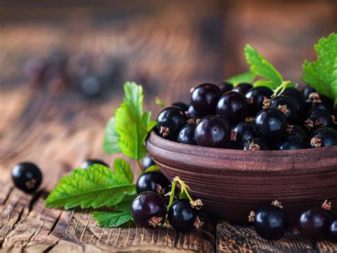 Schwarze Johannisbeeren frisch in der Schale