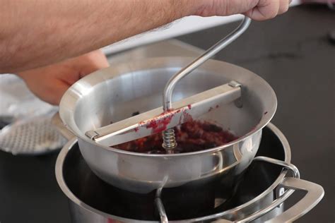 Schwarze Johannisbeeren und Flotte Lotte zum Passieren