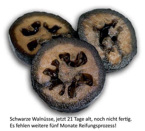Schwarze Walnüsse Herstellung und Verwendung