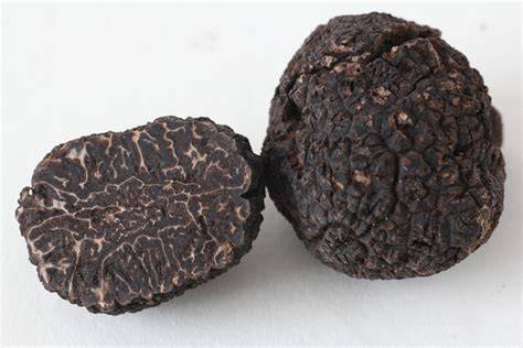 Schwarzer Trüffel aus Spanien und Australien