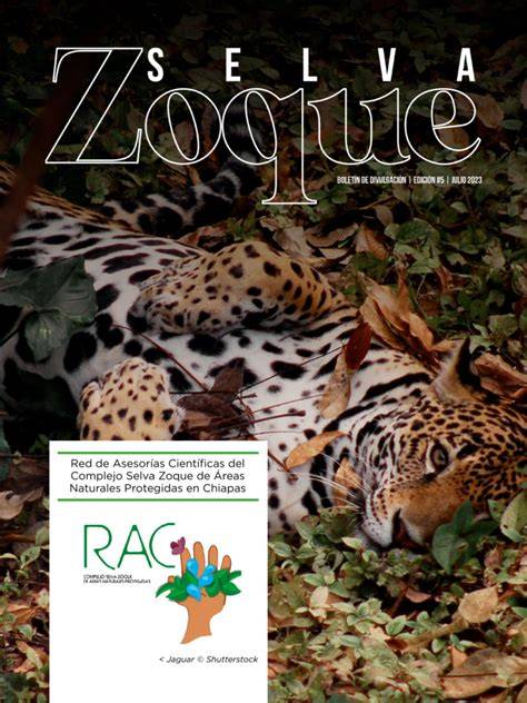 Selva Zoque: Schutzprojekt für Biodiversität
