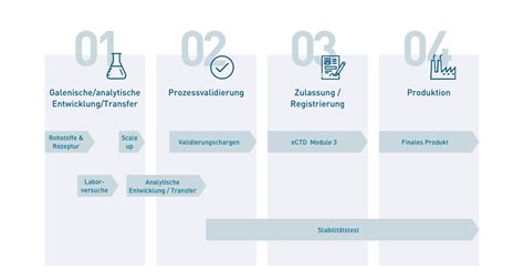 Senfherstellung: von der Saat bis zum fertigen Produkt