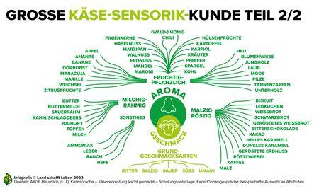 Sensorik: Farbe, Textur; Vergleich MGO/UMF