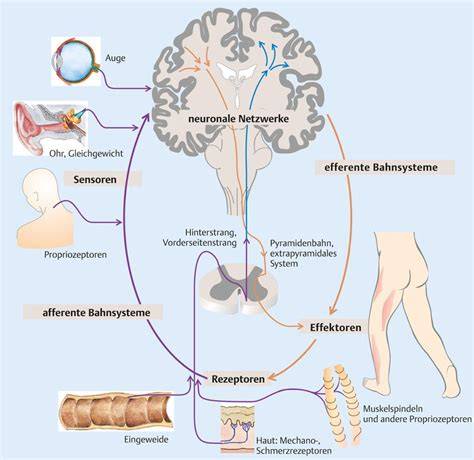 Sensorik und Geschmacksprofil von Honigrum