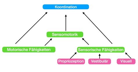 Sensorik-Schema: Williams-Aromen, Honignoten und Fassreifung