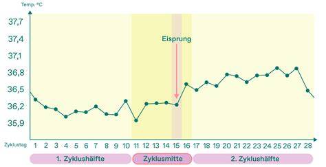 Servier- und Lagerhinweise: Temperaturkurve, Scoop-Fenster, Toppings im Service