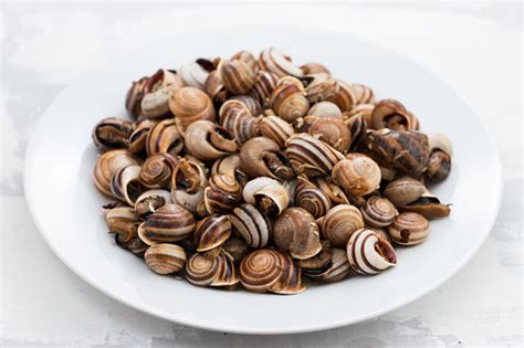 Servierideen: Dessertgläser, Schalen, Schnecken auf Platte