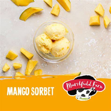 Serviervorschläge: Stracciatella, Mango-Sorbet und Frozen Yoghurt