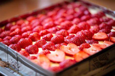 Serviervorschlag: Erdbeerkuchen-Stücke auf Teller, Sommer-Tafel