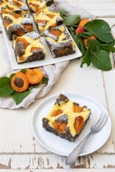 Serviervorschlag: Stück Schoko-Topfen-Kuchen mit Marillen oder Kirschen und Staubzucker