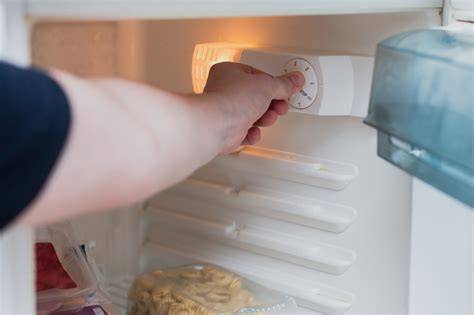 Shortbread-Rollen im Kühlschrank