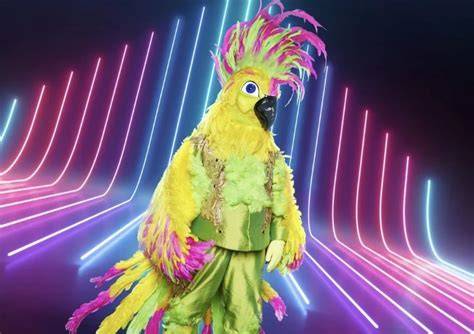 Show-Auftritte: The Masked Singer (Kakadu), Dschungelcamp - Collage