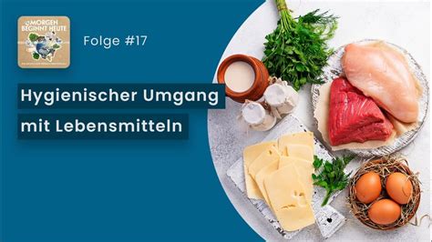 Sicherer Umgang mit Lebensmitteln in Haushalten mit Katzen