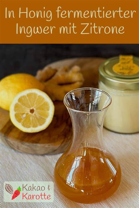 Skizze zur Fermentation von Ingwer und Zitronen in Honig