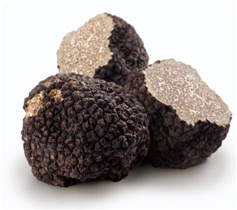 Sommertrüffel Tuber aestivum mit Warzenoberfläche und strukturierter Querschnitt