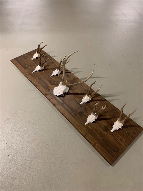 Sommertrüffel auf Holzbrett