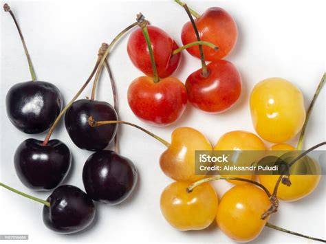 Sorten und Farben von Kirschen