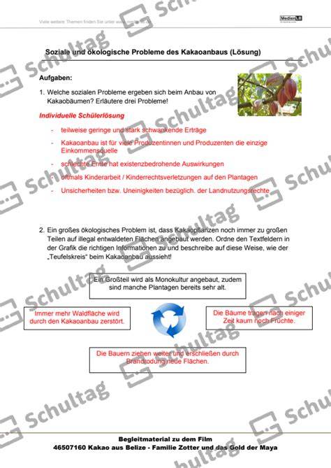 Soziale und ökologische Auswirkungen des Kakaoanbaus (Infografik)