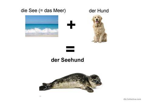 Spezielle und ausgefallene Tortendesign-Formen in der Übersicht