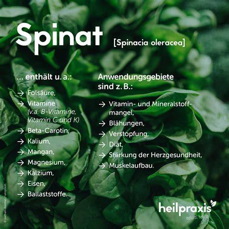Spinat und Zutaten auf der Küchenarbeitsplatte