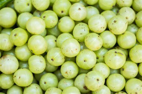 Stachelbeeren frisch auf dem Markt