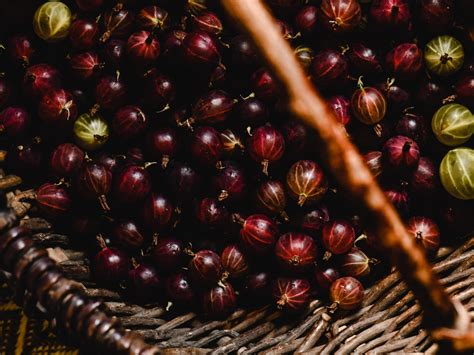 Stachelbeeren im Korb
