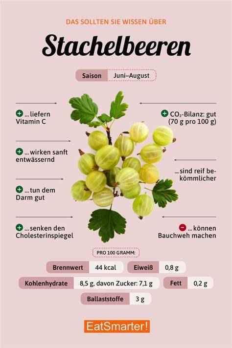 Stachelbeeren und Orangen, Zutaten-Übersicht und Küchen-Setup