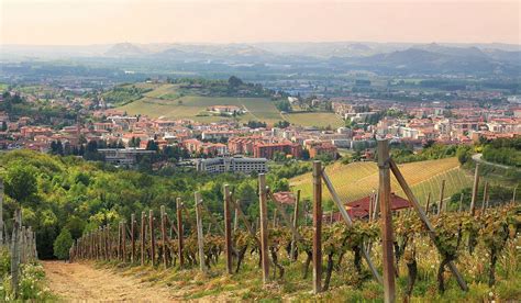 Stadt Alba und Haselnussgärten (Piemont)