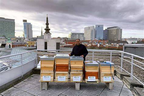 Stadtimker mit Bienenstöcken auf einem Wiener Dach