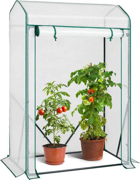 Standortwahl für Tomaten (Balkon, Beet, Gewächshaus)