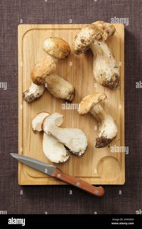 Steinpilze auf Holzbrett