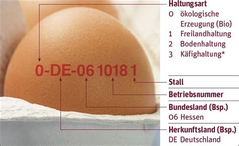 Stempel mit Betriebsnummer auf Bio-Ei