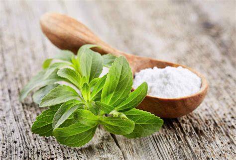 Stevia Pflanze und Steviapulver