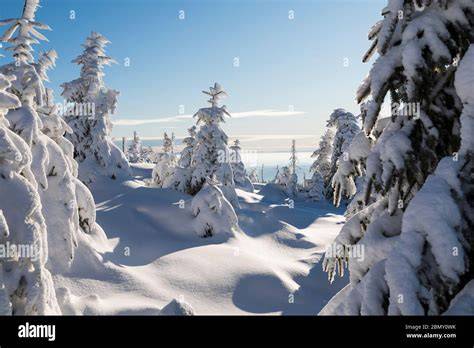 Stimmungsbild: Kärntner Winterlandschaft, Keksteller und Teetasse