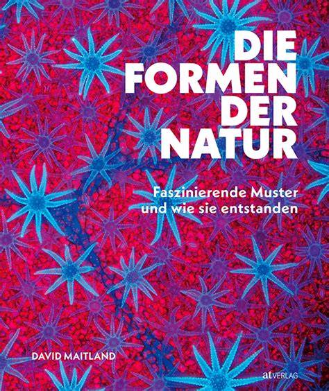 Stimmungsbild: Naturinspiration - Steine, Blätter und Süßgebäck, die Formen der Natur aufgreifend