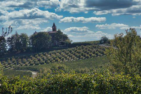 Streuobstwiesen und Bodensee - Herkunft und Tradition