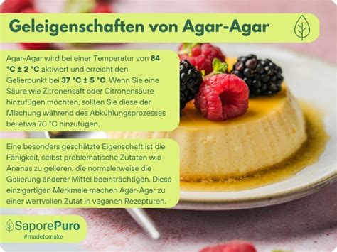 Struktur Agar Agar und Anwendung als Geliermittel