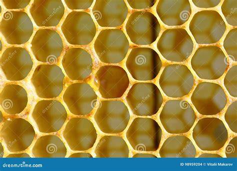 Struktur einer Bienenwabe